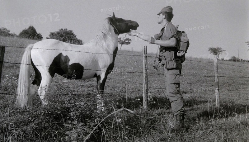 Armée française