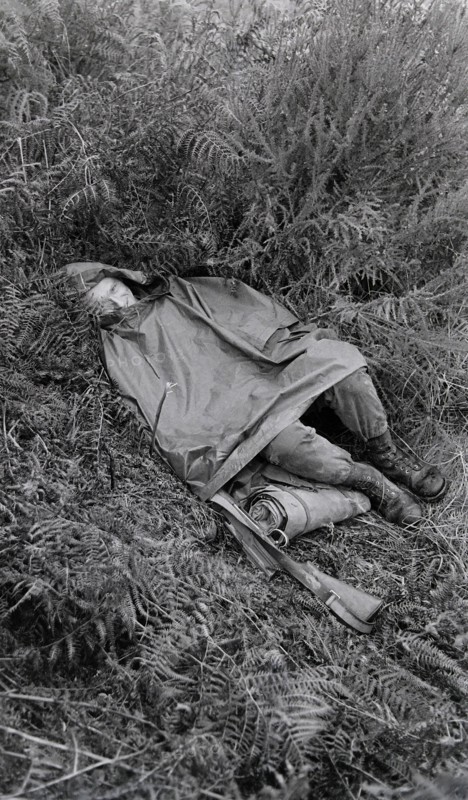 Armée française