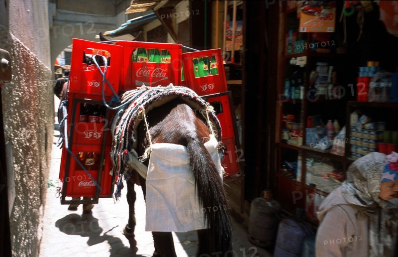 Maroc Tourisme // Morocco Tourism