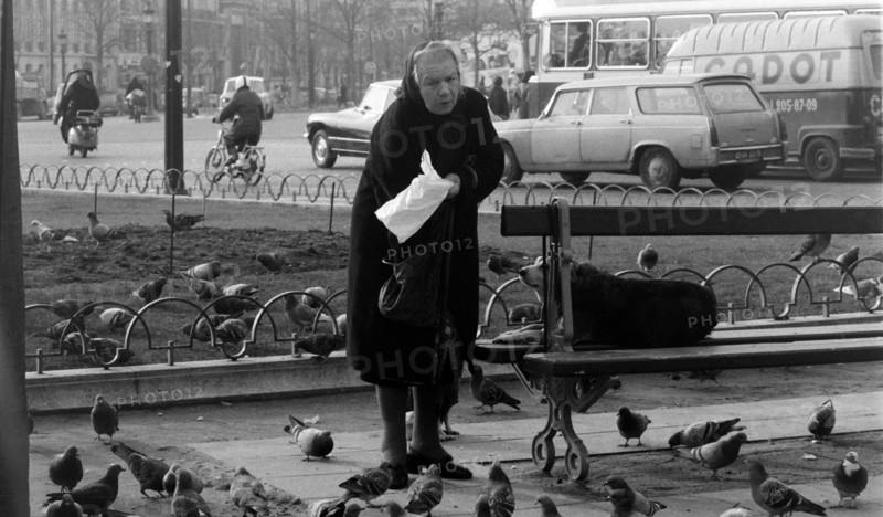 France Société 1973