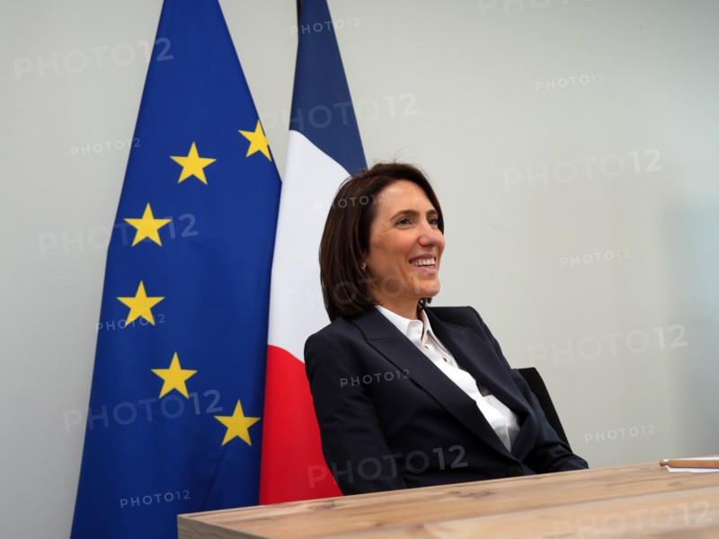 Valérie Hayer, 2024