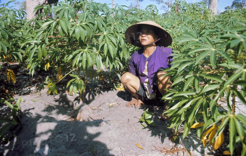Viet-Nam 1974