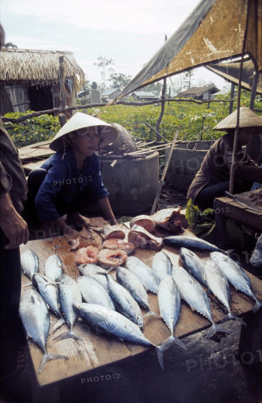 Vietnam, 1974