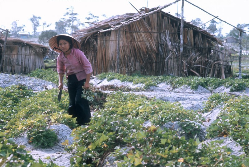 Vietnam, 1974