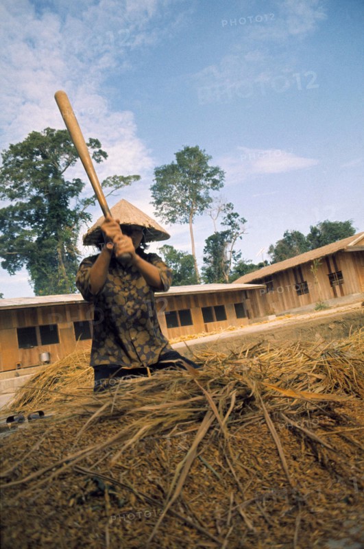 Vietnam, 1974