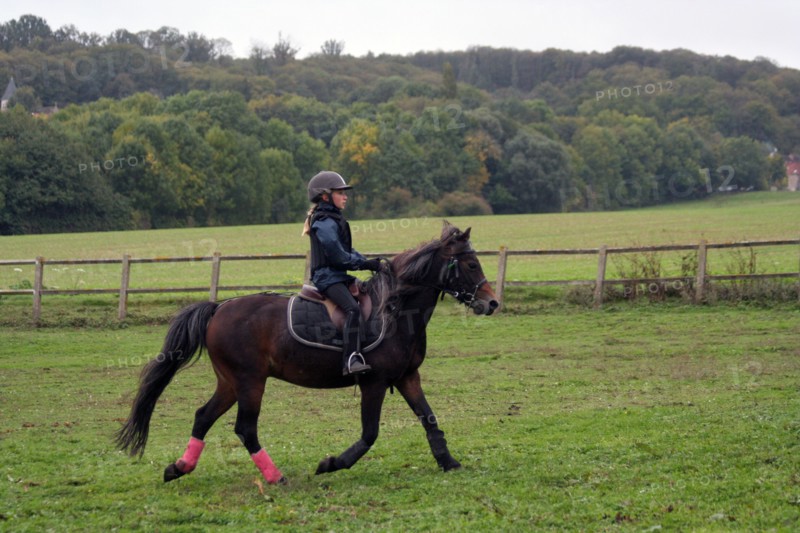 Equitation, France