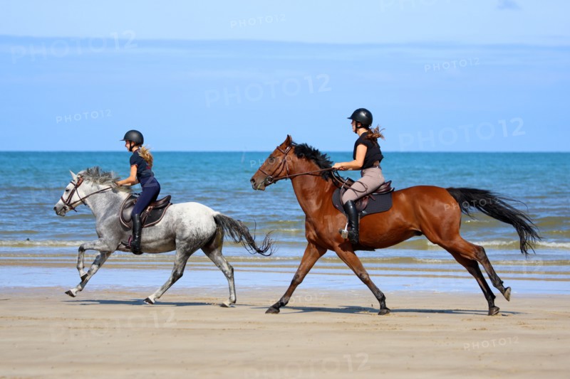 Equitation, France