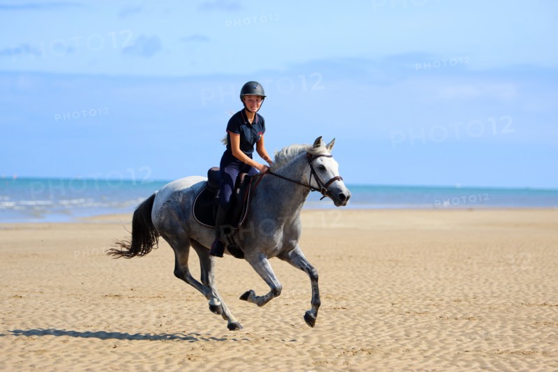Equitation, France