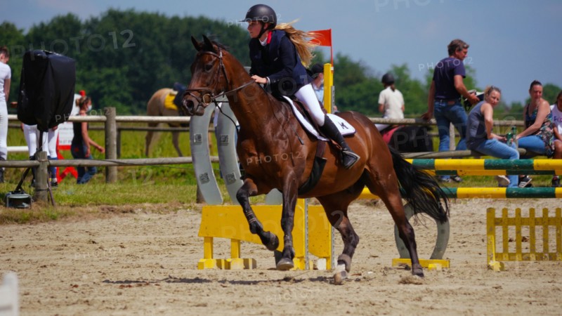 Equitation, France