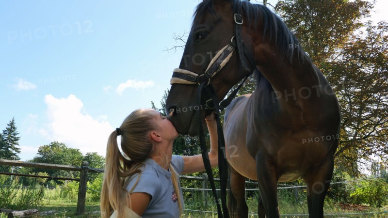 Equitation, France