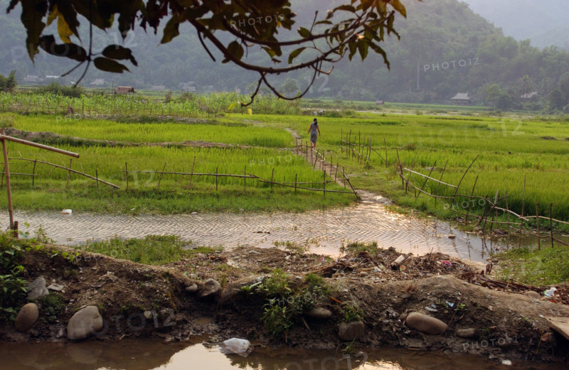 Vietnam : Battle of Dien Bien Phu