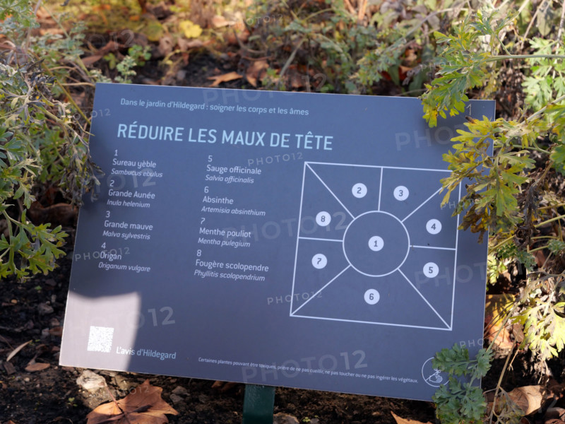 ABBAYE DE ROYAUMONT