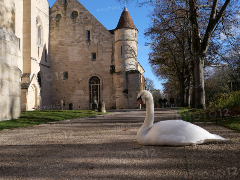 ABBAYE DE ROYAUMONT