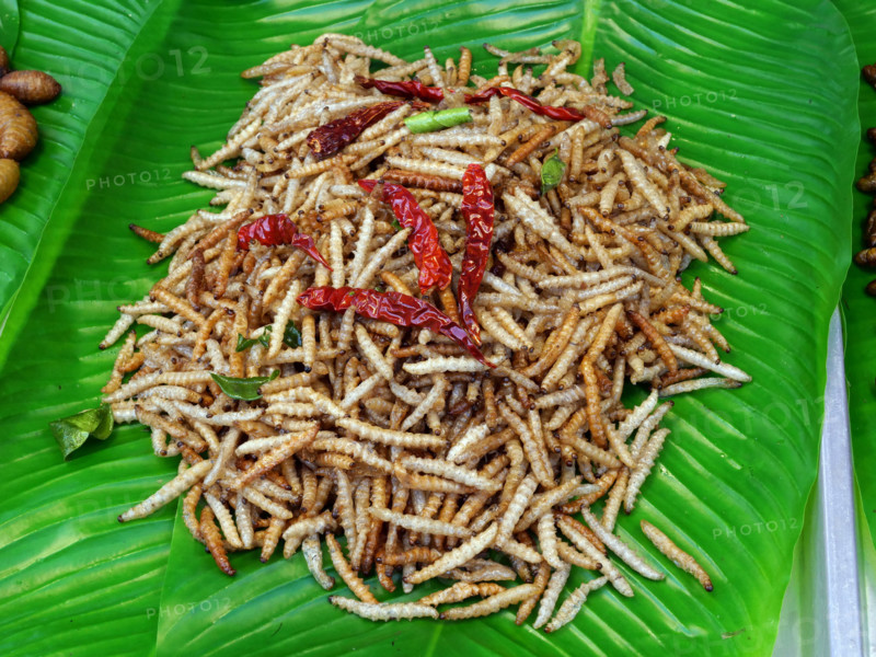 THAILANDE-SOCIETE-RESTAURATION