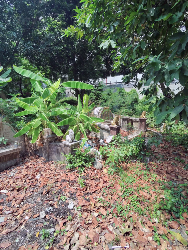 Thailand - Social issue - Funerary