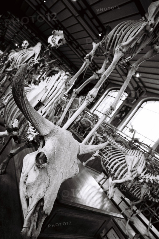 France - History - Museums