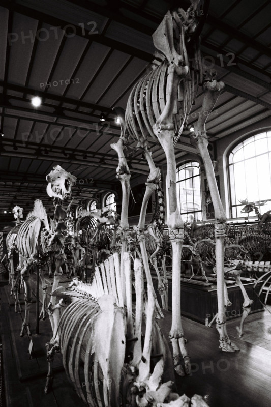 FRANCE HISTOIRE MUSEES