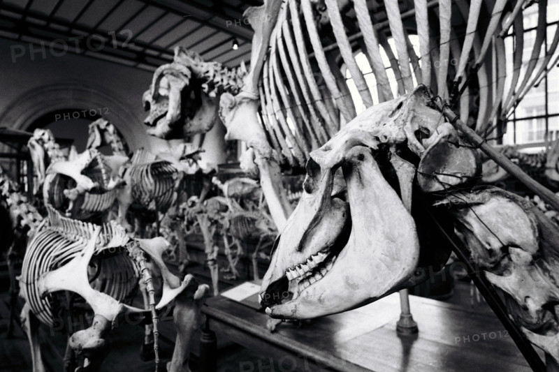 FRANCE HISTOIRE MUSEES