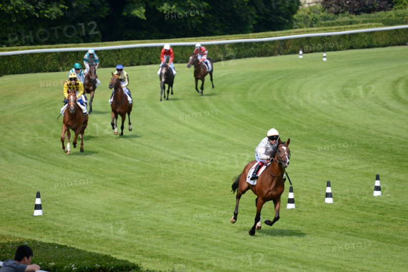 Paris, champ de courses d'Auteuil