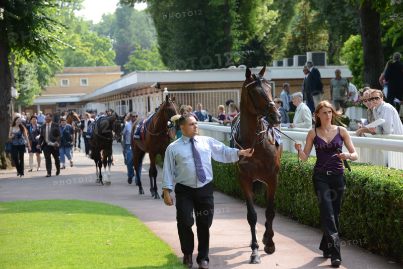 Paris, champ de courses d'Auteuil