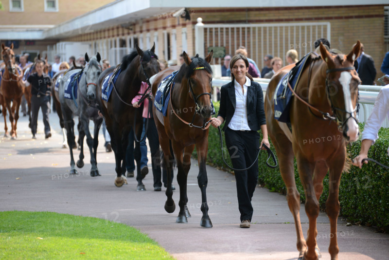 Paris, champ de courses d'Auteuil