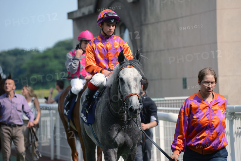 Paris, champ de courses d'Auteuil