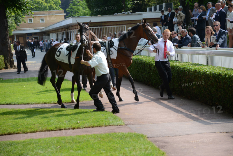 Paris, champ de courses d'Auteuil