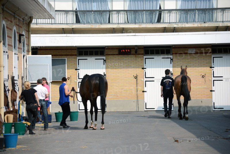 Paris, champ de courses d'Auteuil