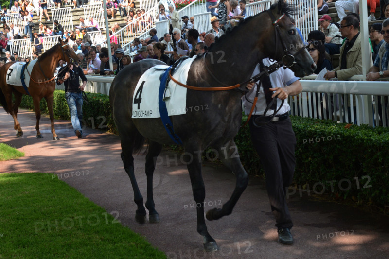 Paris, champ de courses d'Auteuil