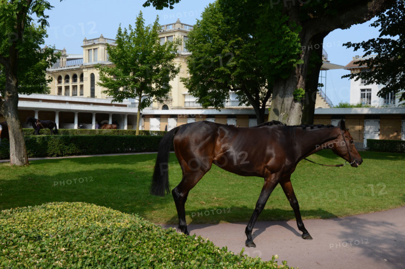 Paris, champ de courses d'Auteuil