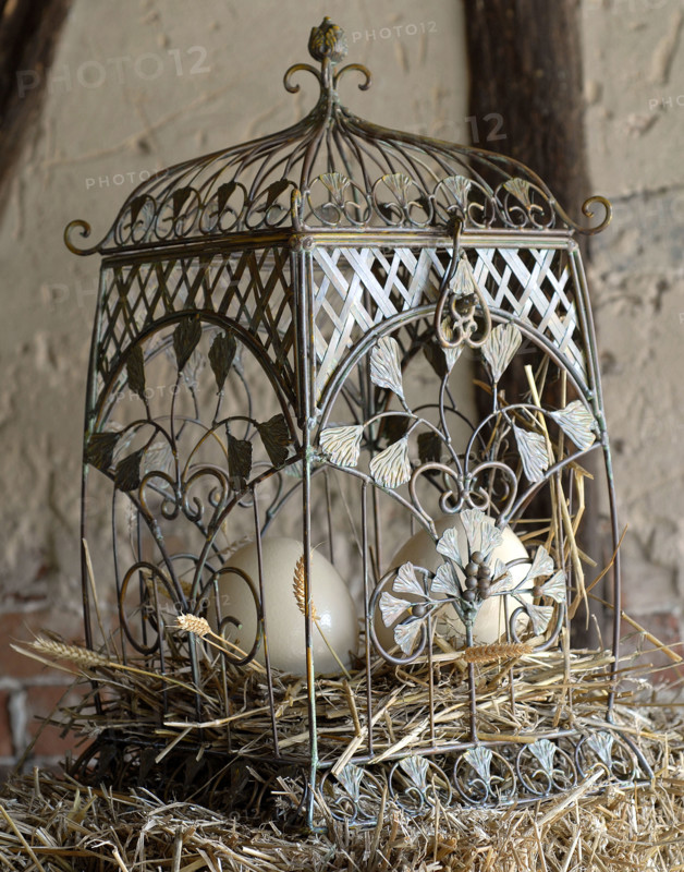 Repas "tout à l'oeuf" : oeufs dans une cage métallique