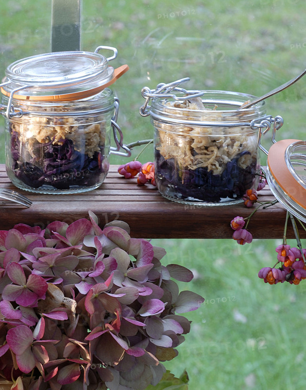 Repas forestier : compote de lapin et chou confit