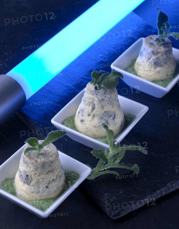 Dîner "totally space" : darioles d'escargots, coulis de persil