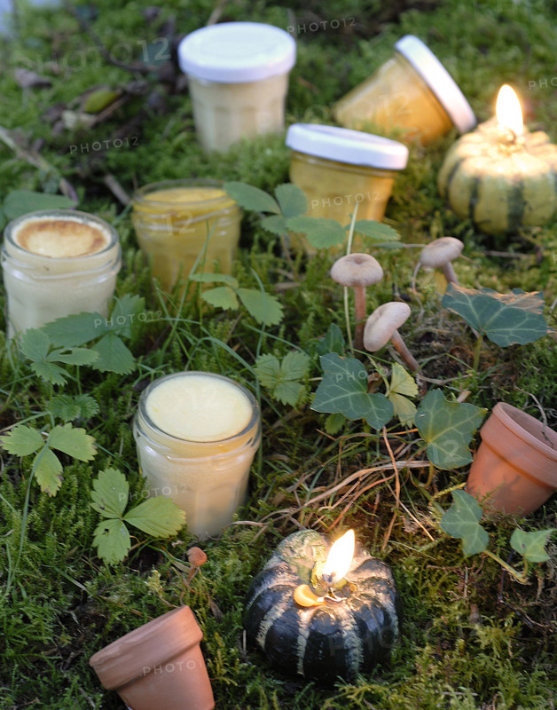 Repas forestier : oeufs au lait et crème candi au potimarron