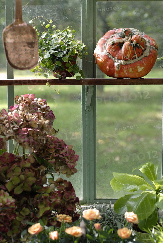 Repas forestier : décor de fleurs, hortensias, et potimarron