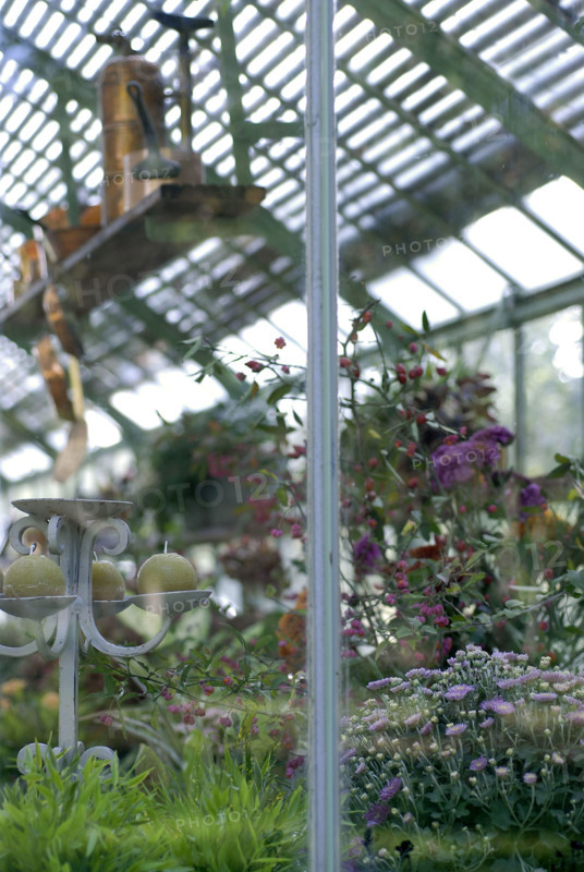 Meal on a forest theme: greenhouse