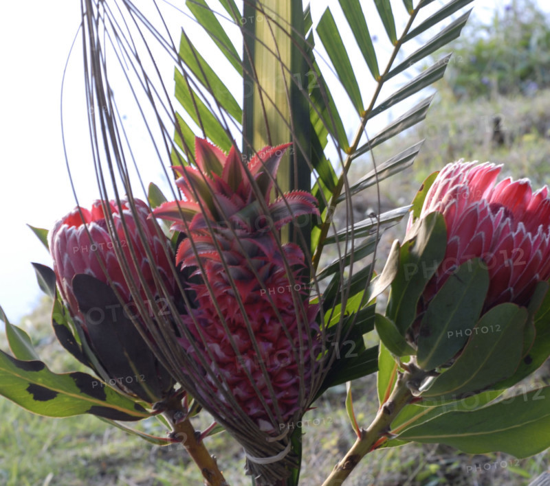 Buffet Robinson : décor d'ananas