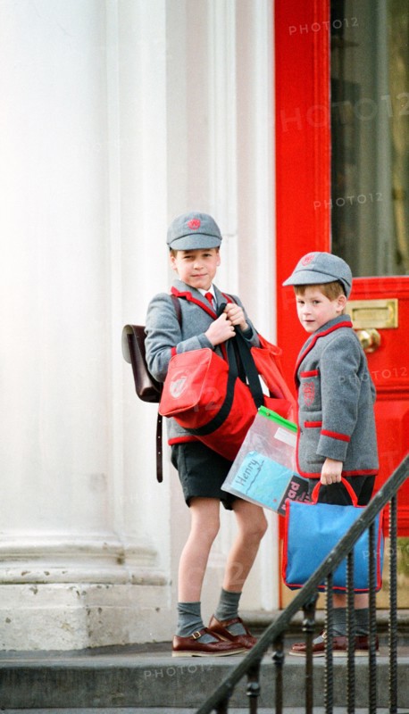 Prince William et prince Harry