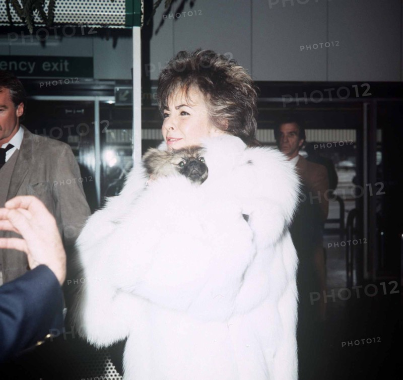 Elizabeth Taylor
