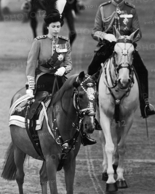 La reine Elisabeth II à cheval, 1953