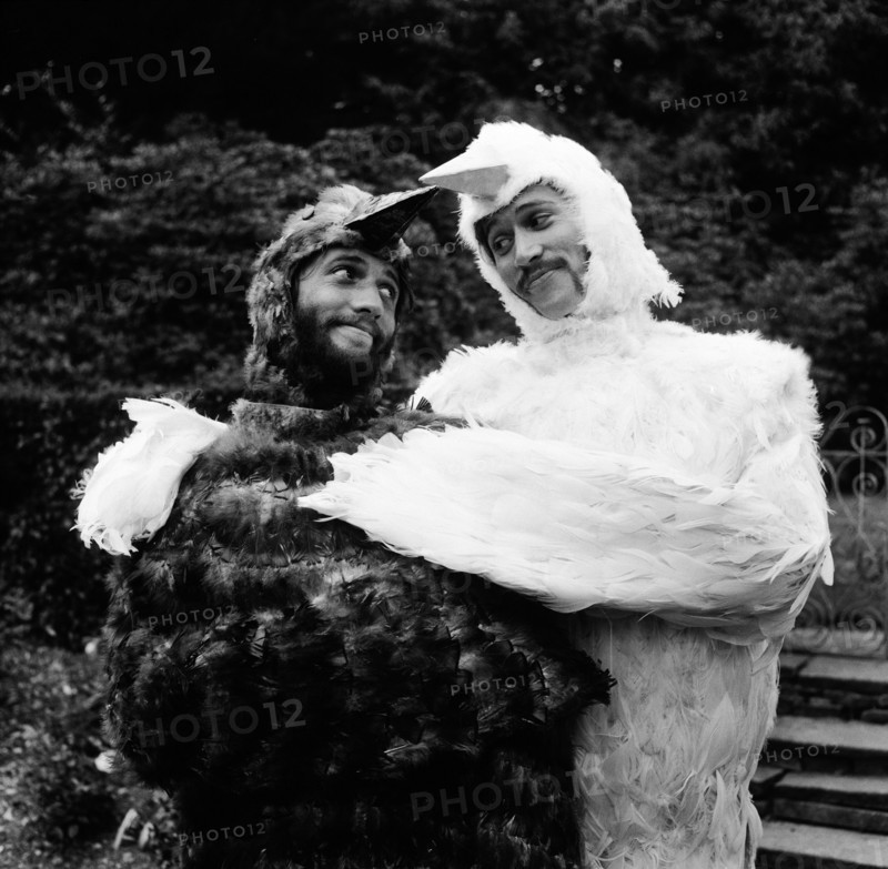 Les Bee Gees