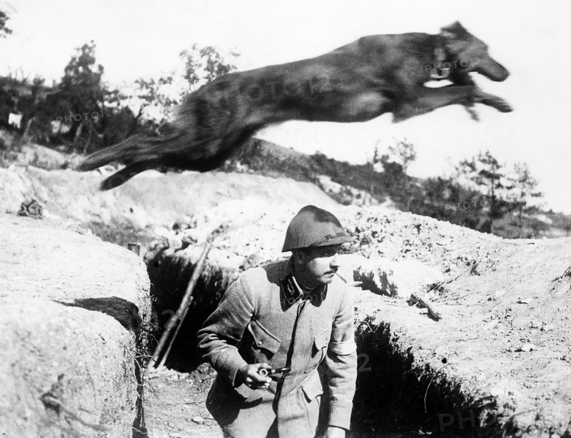 Première Guerre Mondiale