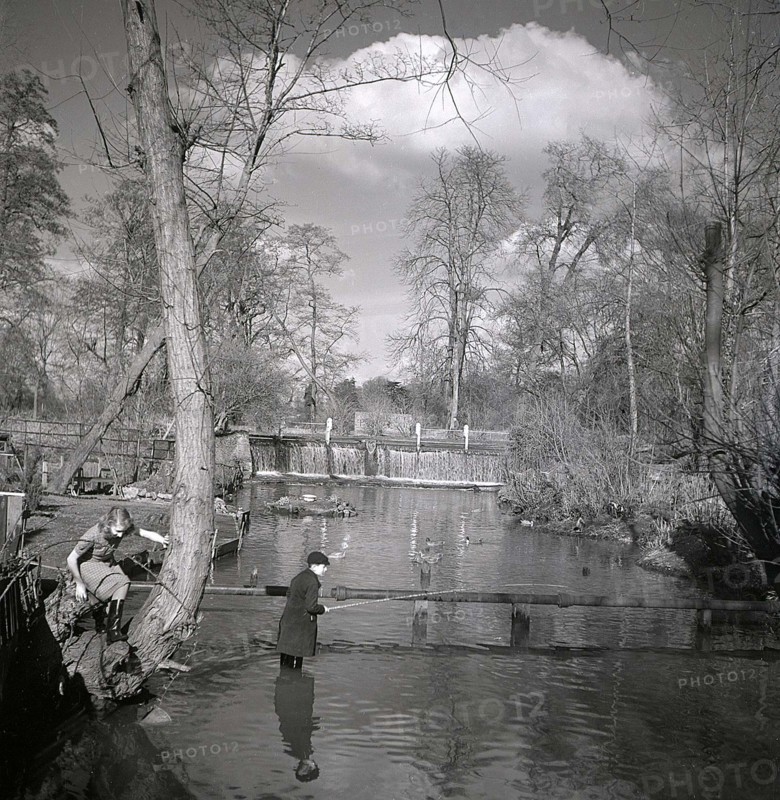 Pêche vers Grove Mill, 1949