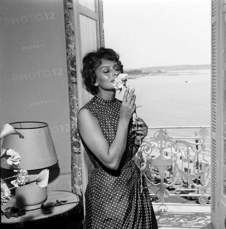 Sophia Loren