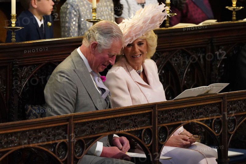 Prince Harry and Meghan Markle Wedding