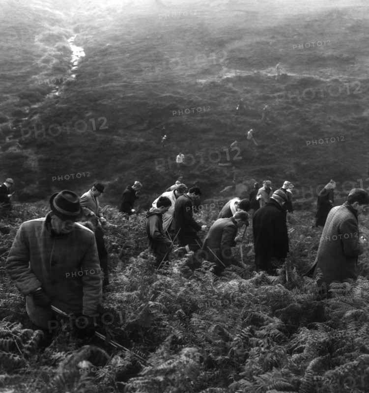 Les meurtres de la lande