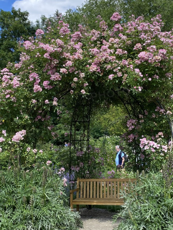 Domaine de Chaalis (Oise)