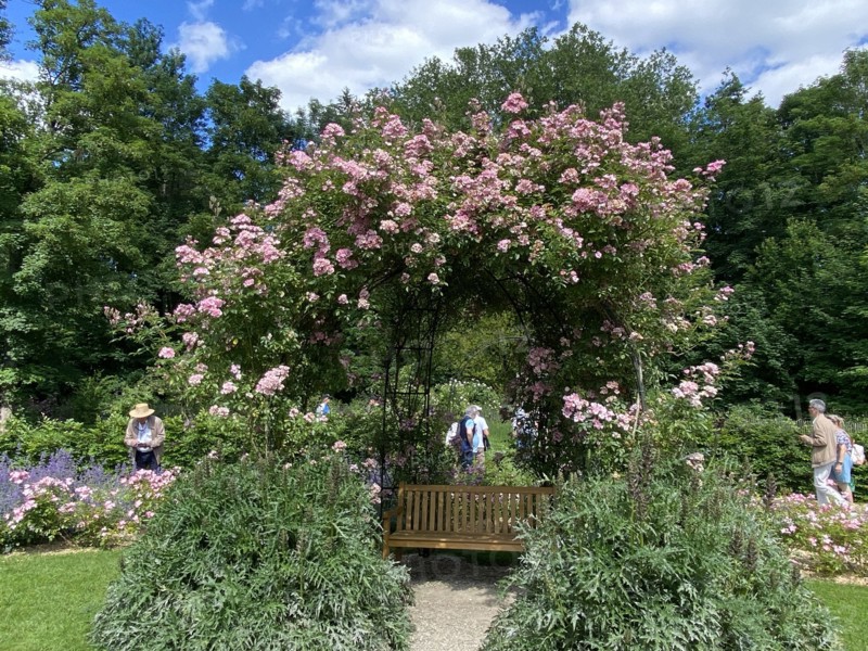 Domaine de Chaalis (Oise)