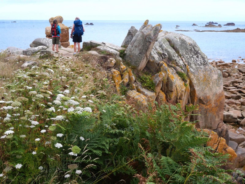 Along the hiking trail 34 in Brittany