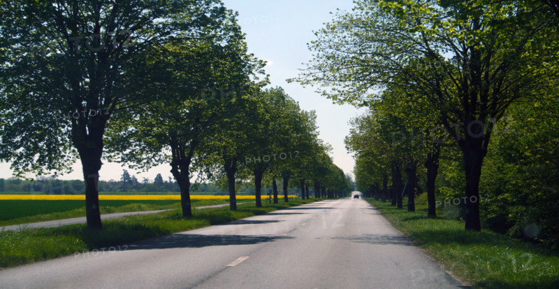 France - Infrastructure – Roads